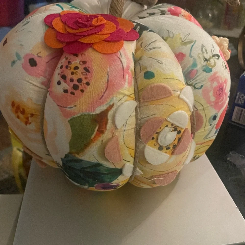 Really cute fabric pumpkin decor pillow accent - Picture 4 of 5